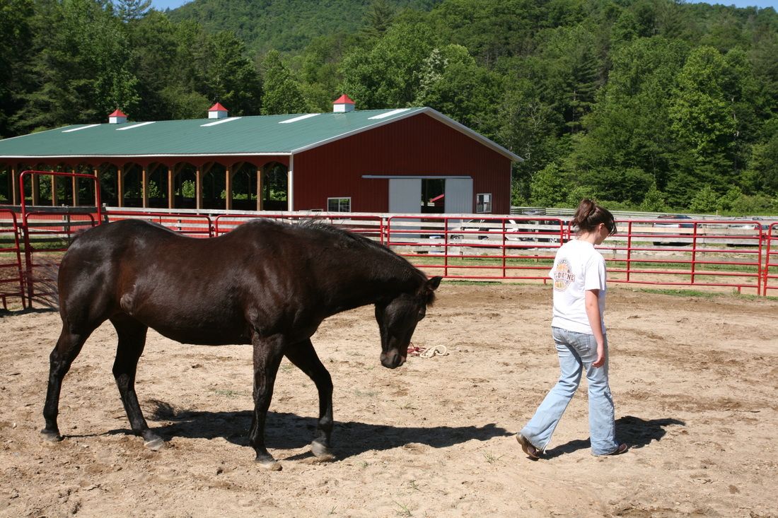 Carpe Diem Farms